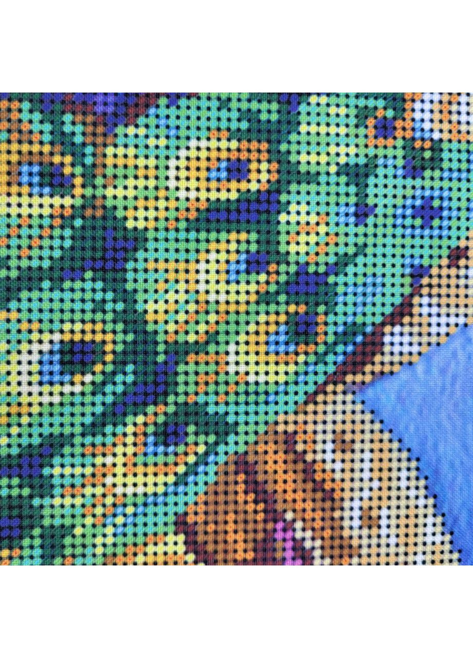 НАБОР ARHIBIS 828 Райские павлины, набор для вышивания бисером картины Dana (369666226)