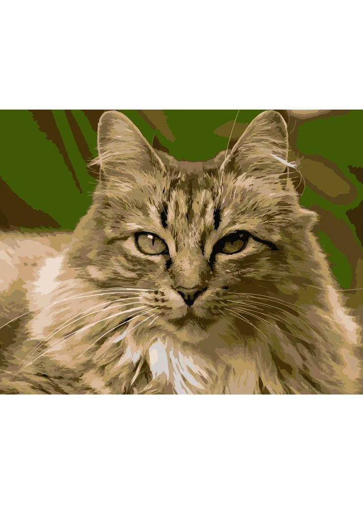 Картина за номерами ПРЕМІУМ Горда кішка розміром 40х50 см (DY186) Strateg (364310040)