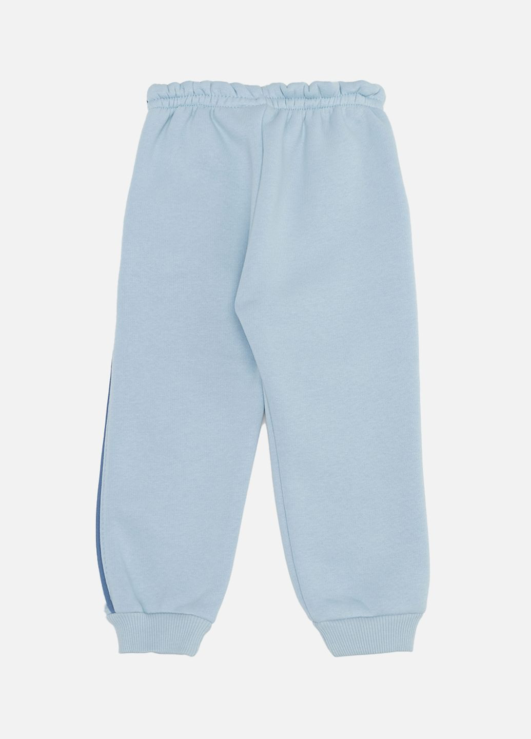 Голубые зимние брюки Feely kids