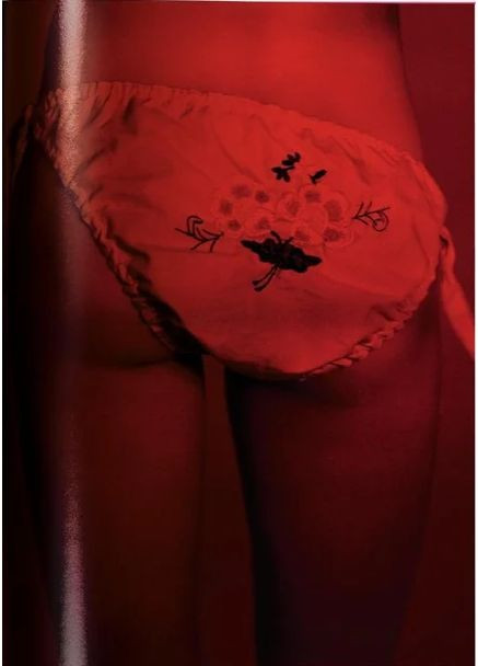 Gisele Bündchen Taschen (370055910)