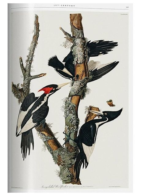 Книга Science Illustration. History of Visual Knowledge from the 15th Century to Today (9783836573320) Taschen (364656231)