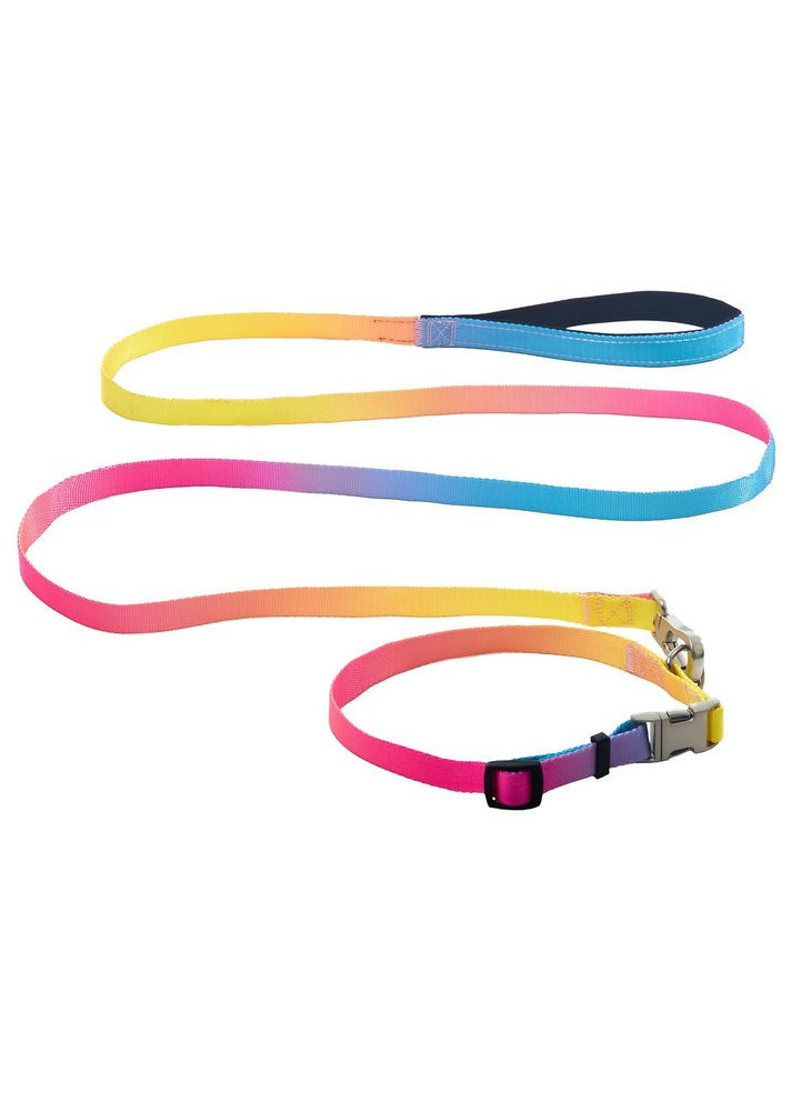 Набор (ошейник + поводок), panton 1, 20/330500/1800 мм (*) AnimAll (306741037)