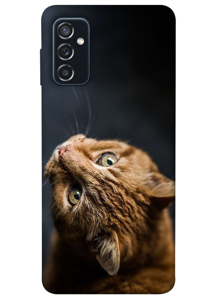 Чохол з принтом для Samsung Galaxy M52 / на самсунг галаксі М52 Рудий кіт No Brand (339065028)
