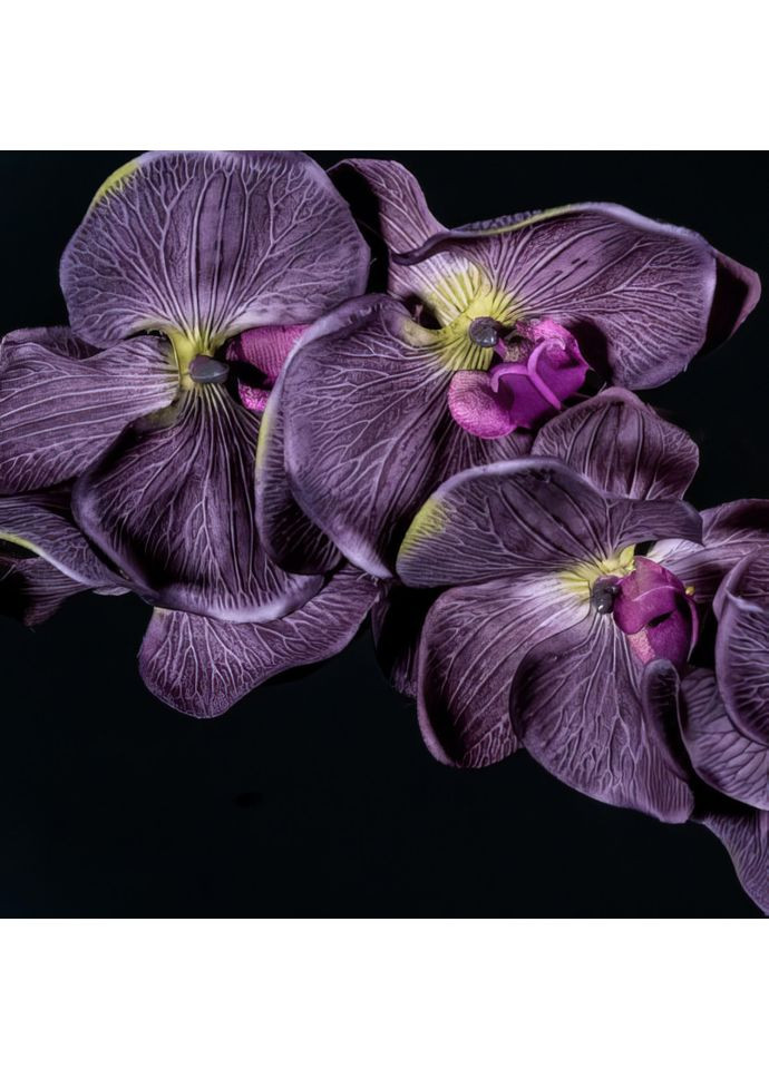 Духи для женщин Oude 15 мл Yodeyma (372017337)