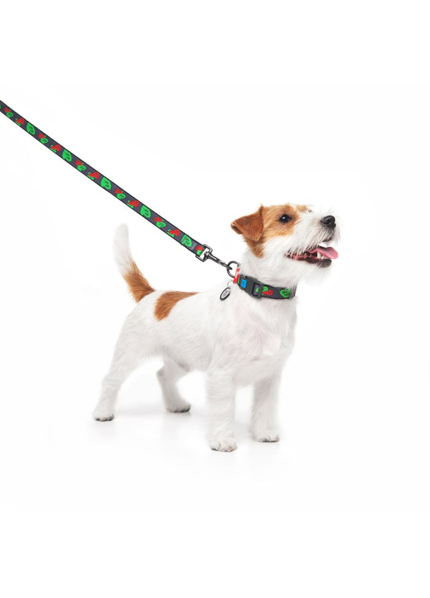 Поводок для собак нейлоновый Nylon рисунок "Калина", M, Ш 20 мм, Дл 122 см WAUDOG (370193390)