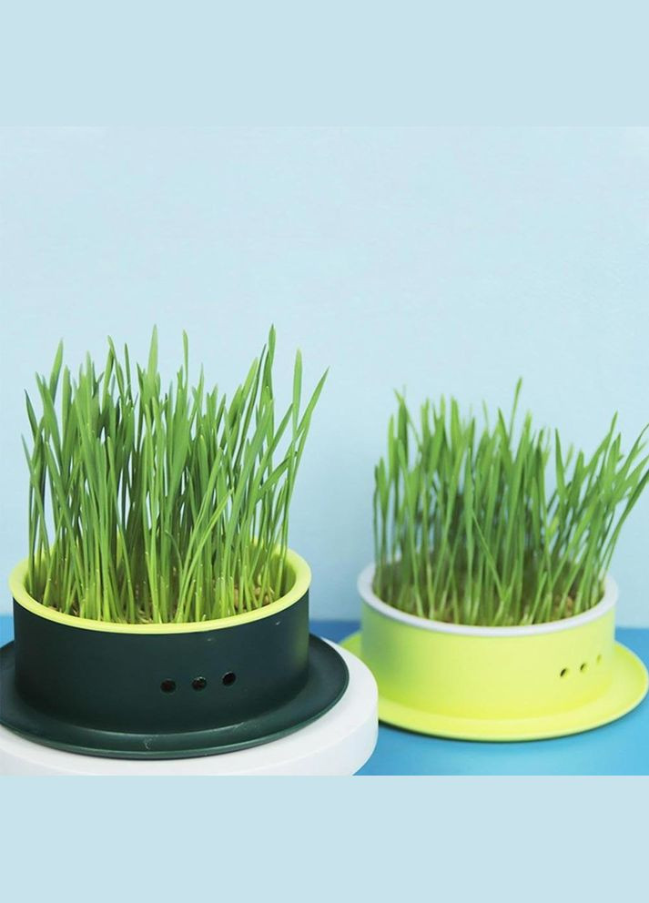 Лоток для гідропонного вирощування мікрозелені та розсади круглий темно-зелений з жовтою вставкою (NR0168_1) No Brand (303898377)