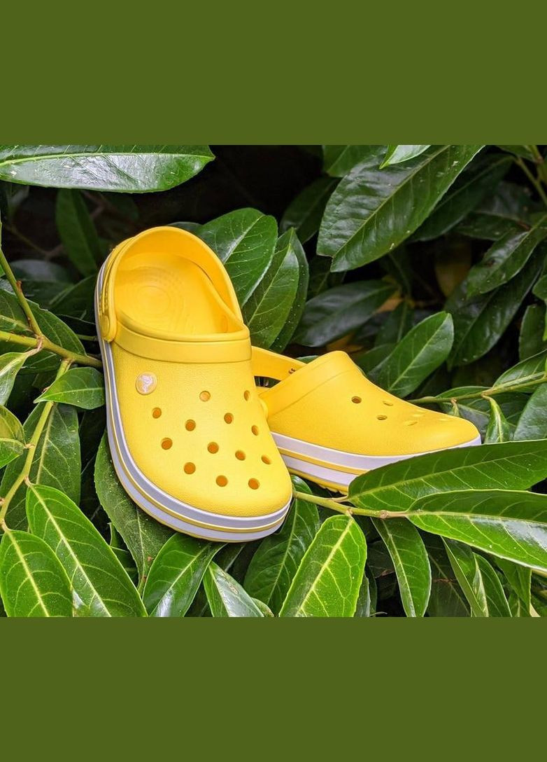 Крокс Крокбенд Клог Clog Crocs Crocband (329996306)