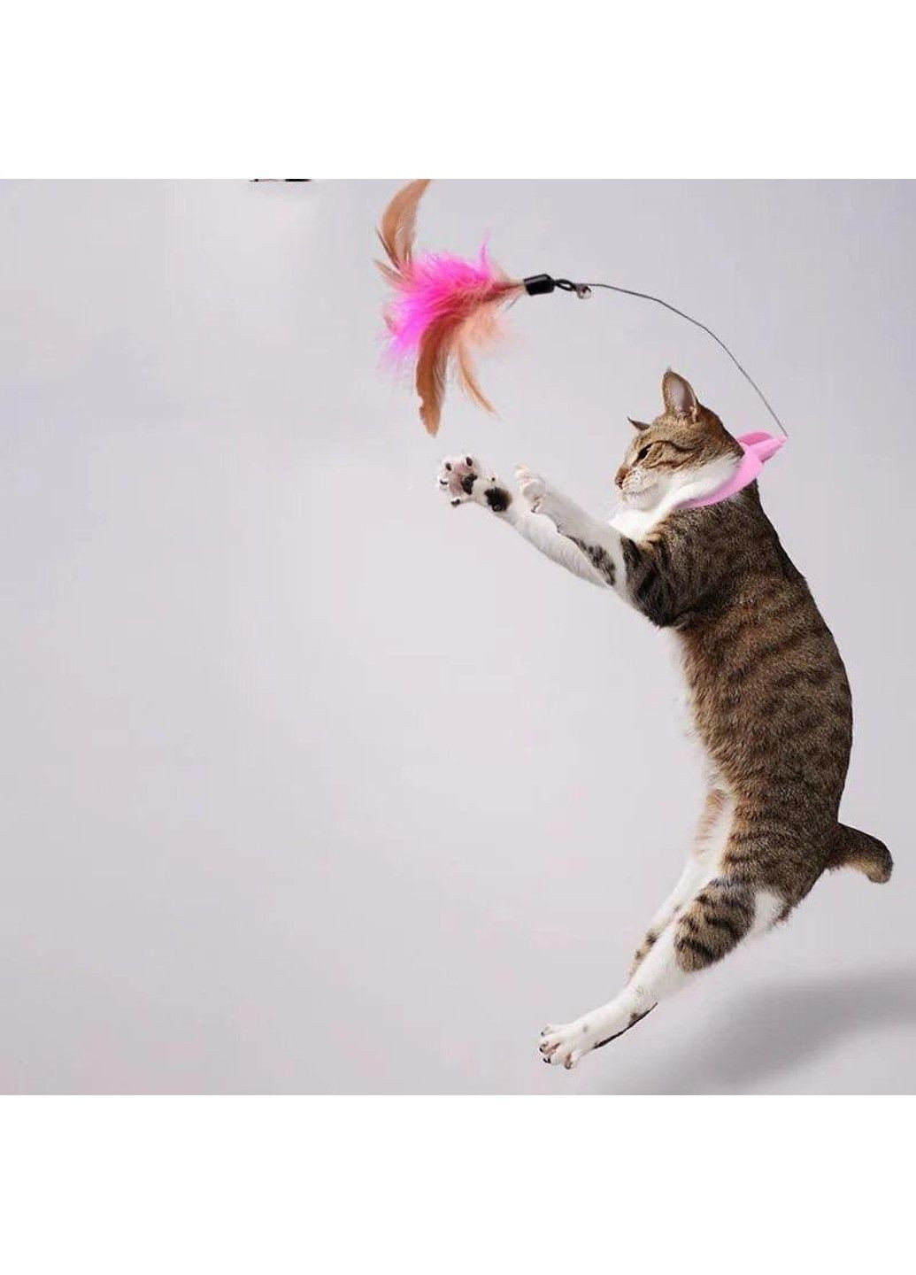 Дразнилка-ошейник для котов с перьями "Happy" Xtep (319664356)