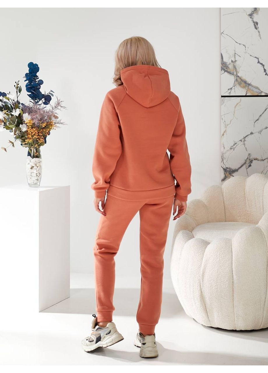 Бюджетный спортивный костюм женский на флисе Україна (366241953)