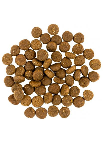 Сухий корм для собак (4820232630280) Savory Puppy rich in Fresh Turkey and Chicken 1 кг (369878096)