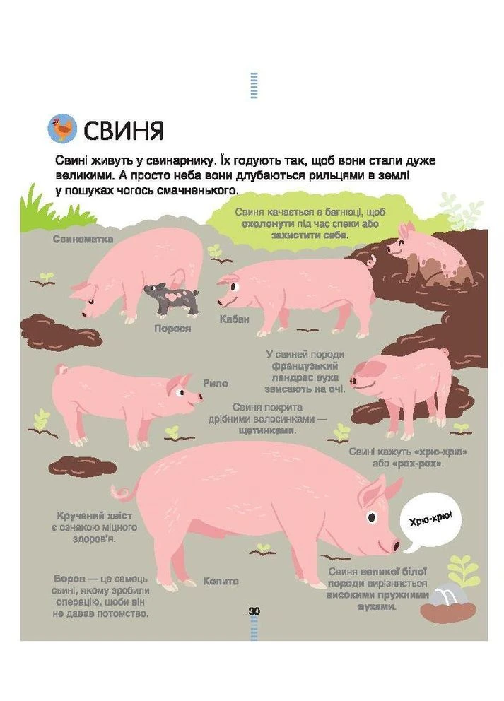 Книга на ферме. Энциклопедия для любознательных. Автор - Сесиль Югла (# ) Книголав (338879727)