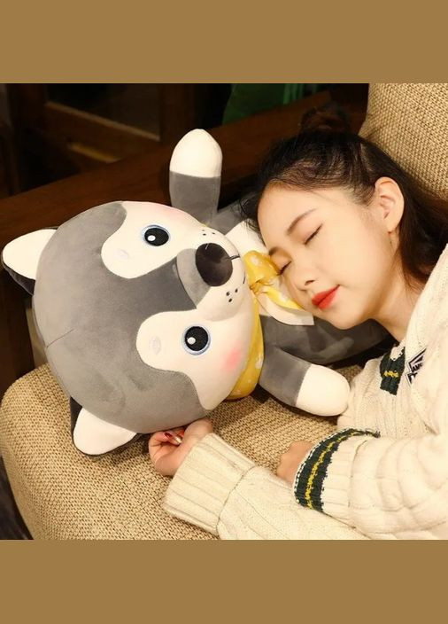 Дитяча м'яка іграшка "Собачка" L1131 іграшка з пледом, розмір 50 см Bambi (364132345)