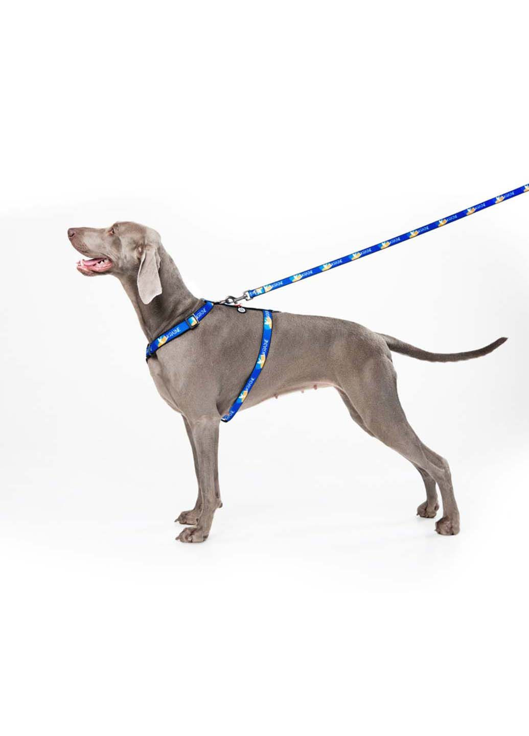 Шлея для собак анатомическая H-образная Nylon с QR паспортом Флаг L 50-90 х 60-100 см х 25 мм WAUDOG (292175440)