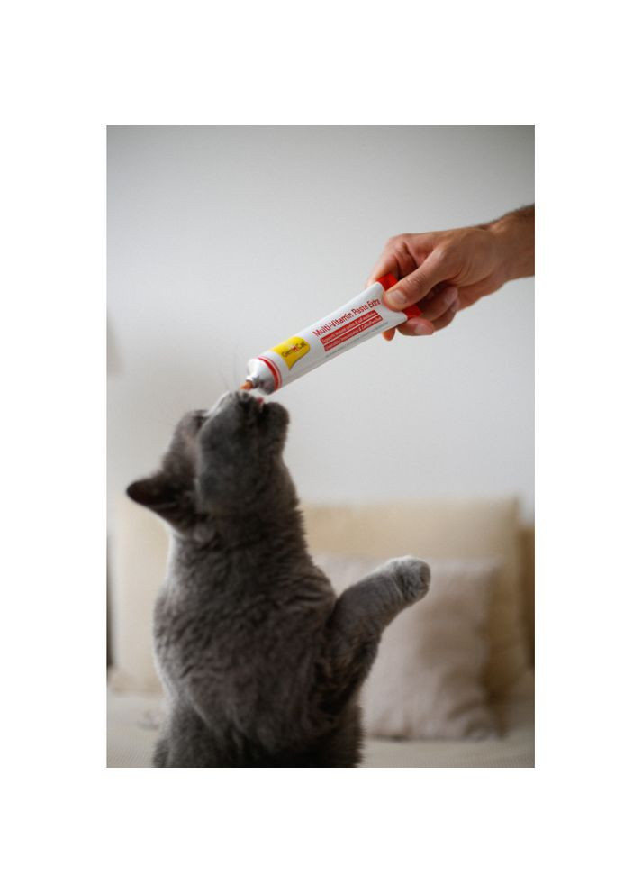 Мультивитаминная паста Every Day Extra для кошек, 50 г GimCat (355255452)