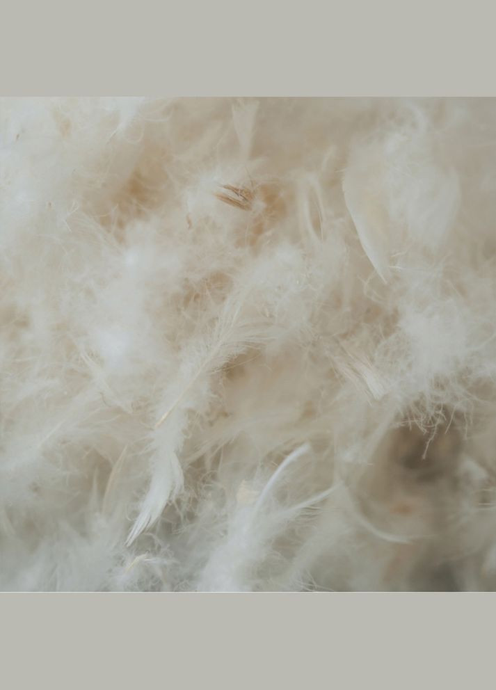 Ковдра Valentino 034 зима 110х140 см 14212454 Mirson (316620338)