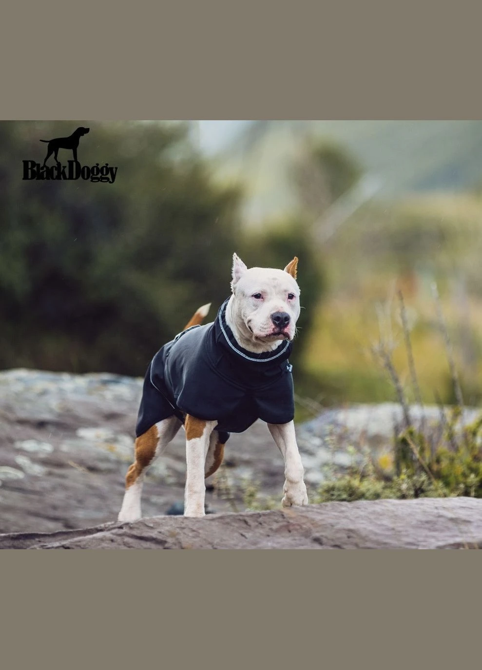 Куртка для собак (БлекДогги) VC19-JK008 L, BlackDoggy (297567221)