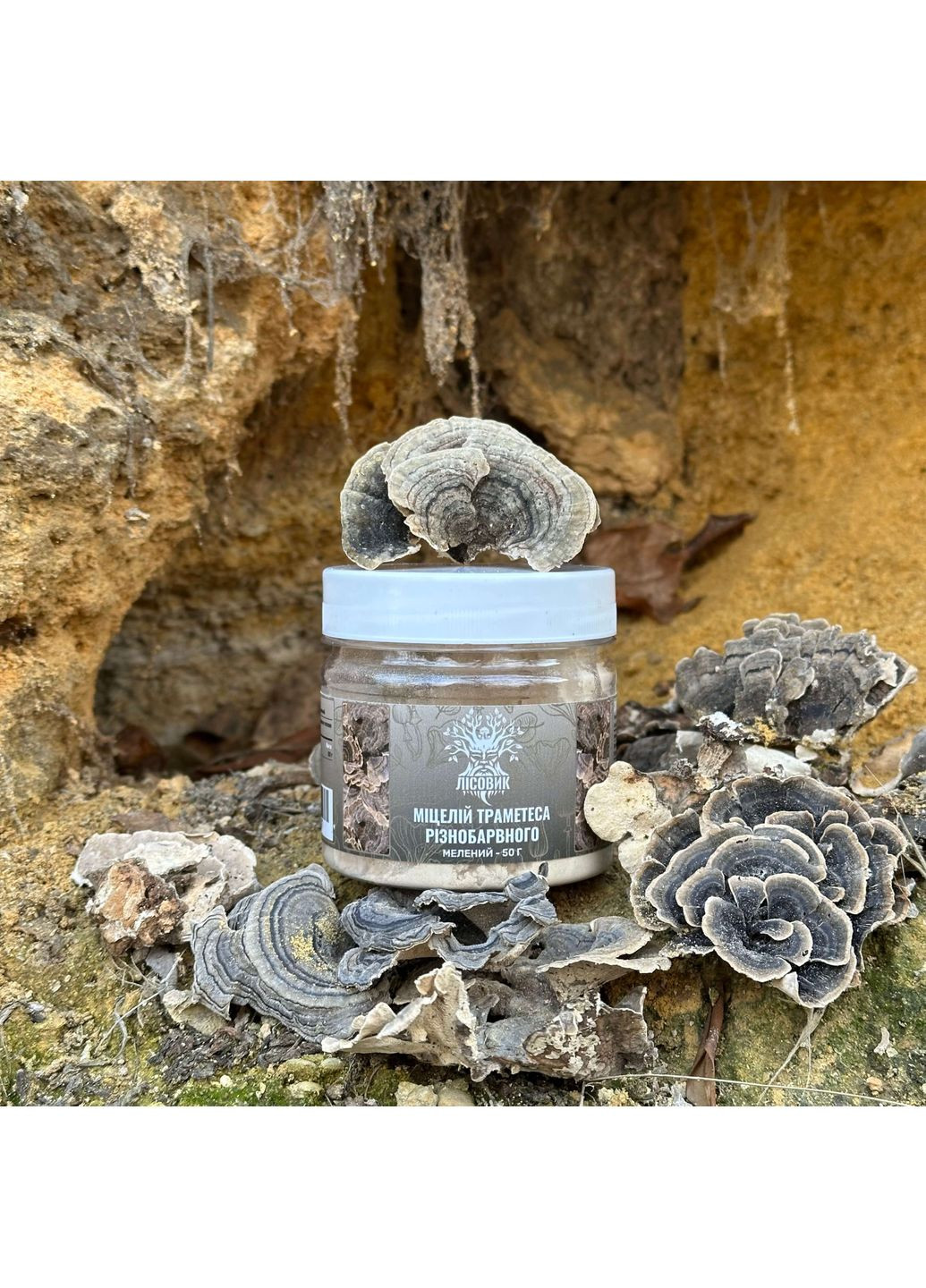 Міцелій Траметеса різнобарвного, мелений 50 г Лісовик (334711163)