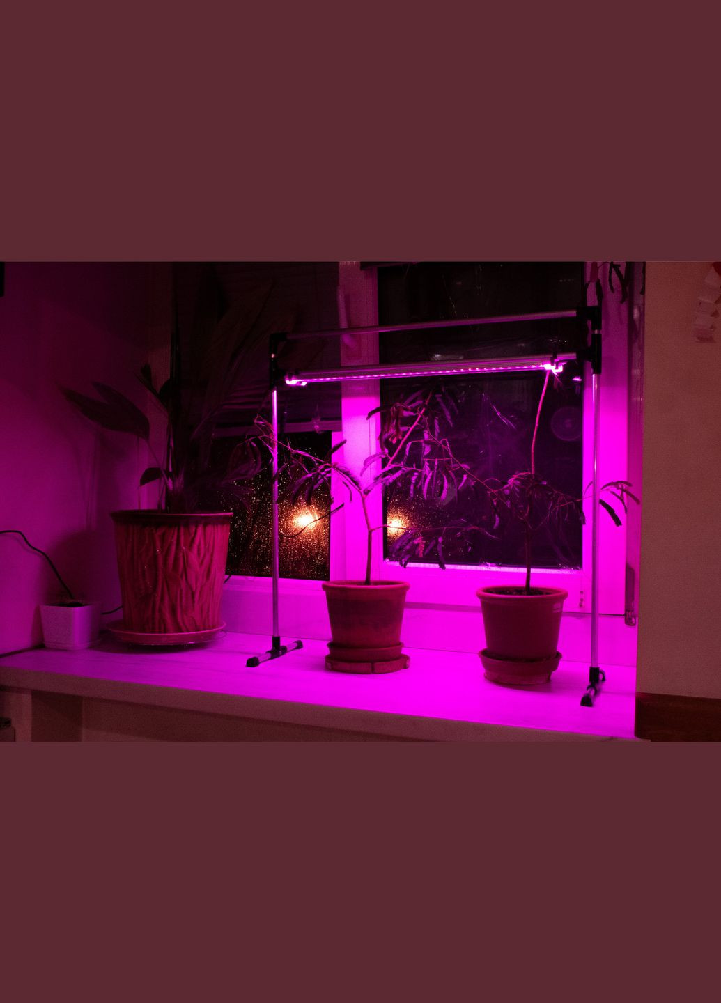 LED Лампа для растений DUO Bicolor на подоконник. ЛЕД Фито лампа для команатных растений, рассады, цветов, орхидей, микрозеленых. Metaplant (346533039)