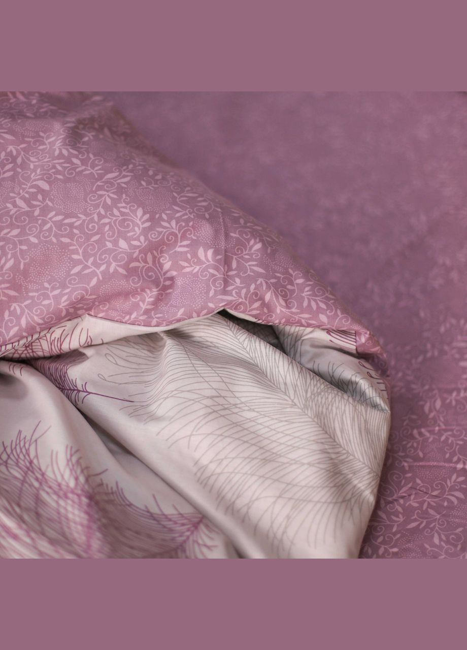 Комплект постільної білизни ранфорс - 21158 сімейний Viluta (288046460)