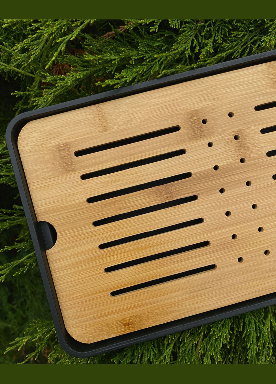 Чабань "Бамбук" Tea Dragon (341737914)