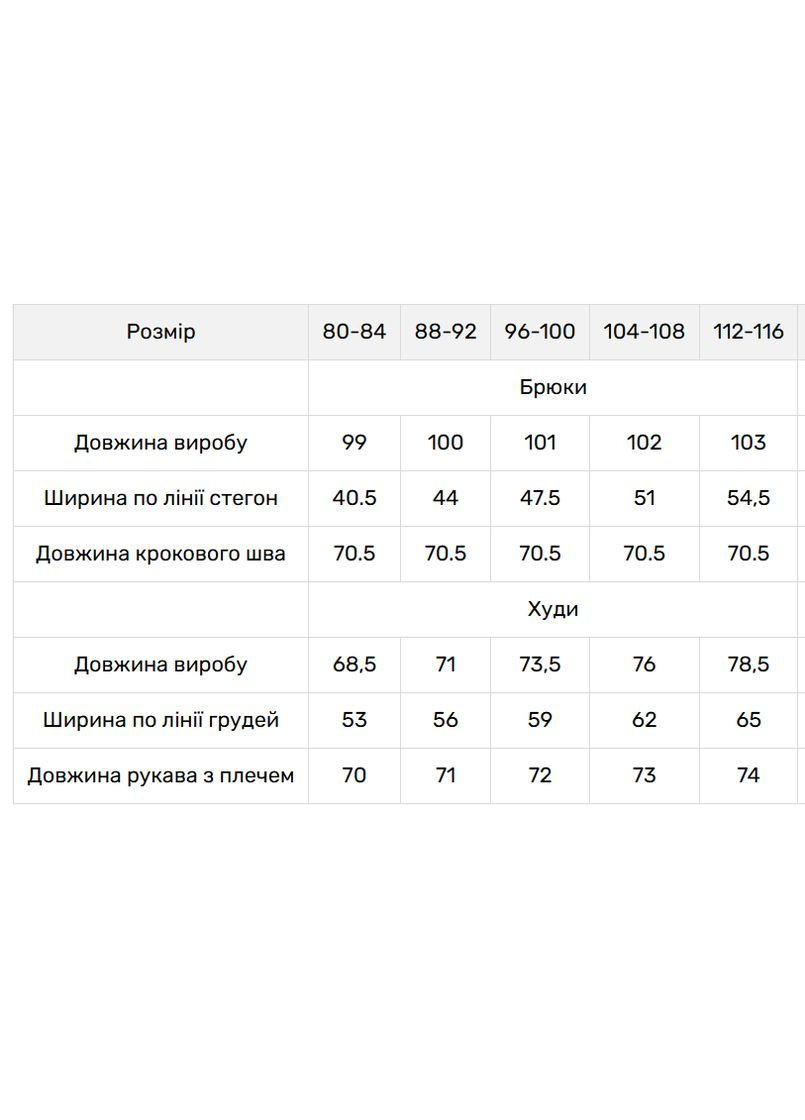 Женский тринитный костюм с начесом бежевый с вышивкой колосья, теплый спортивный костюм V&V (363173096)