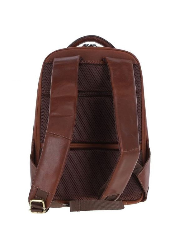 Рюкзак Ashwood (335405540)