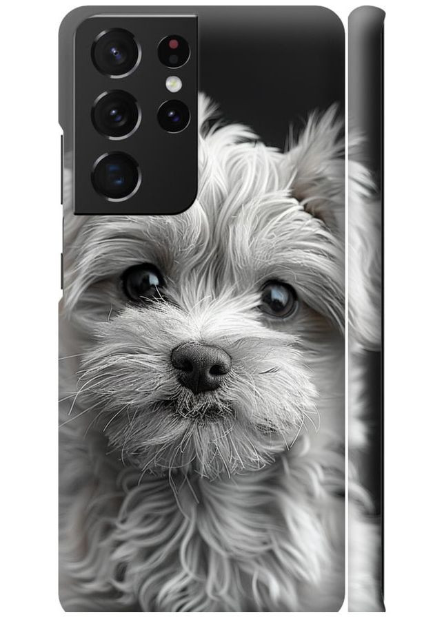 3D пластиковий матовий чохол 'Мальтипу на чорному фоні' для Samsung Galaxy S21 Ultra (5G) Endorphone Samsung Galaxy S21 Ultra (5G) (297660042)