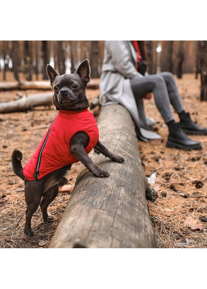 Жилет E.Vest для собак М Pet Fashion (369980474)