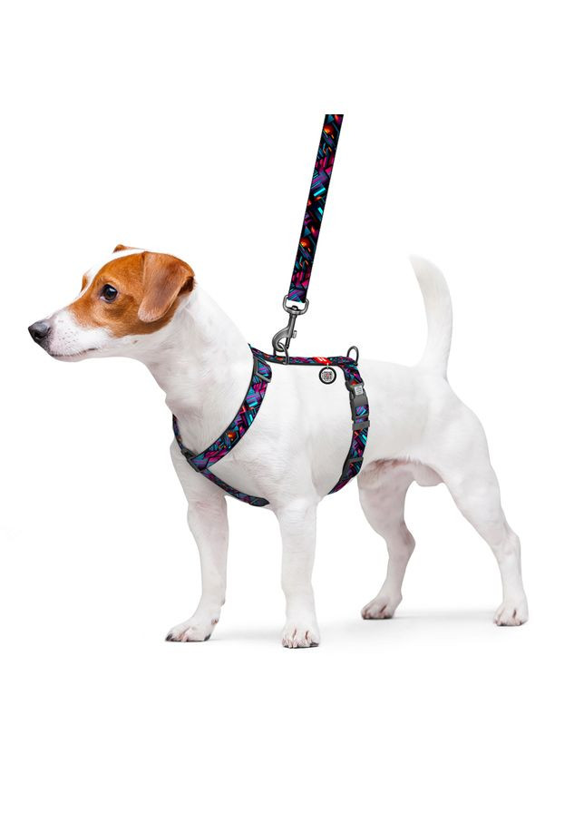 Нашийник WAUDOG (336964667)