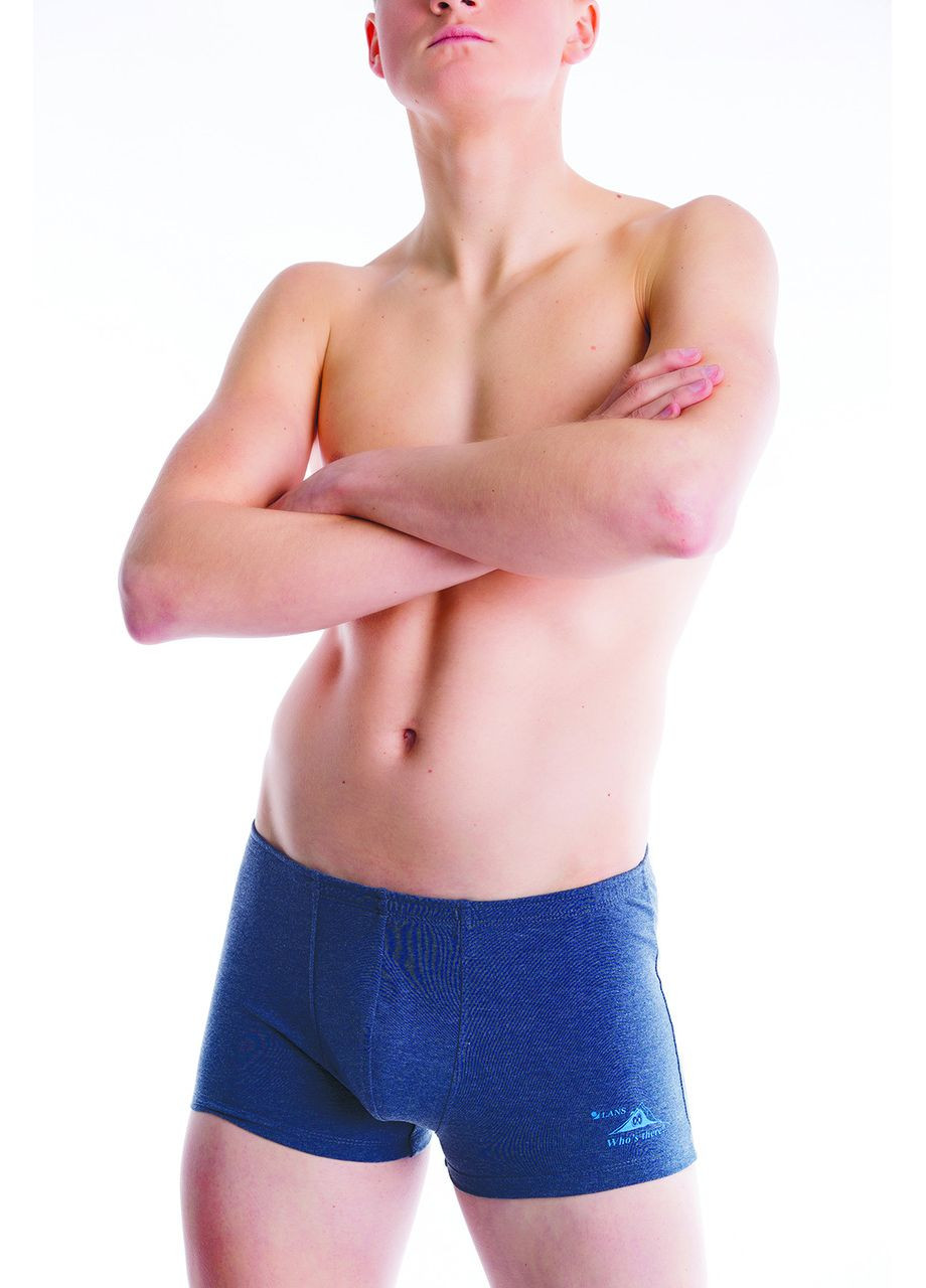 Труси чоловічі шорти 07/031 LANS (373273660)