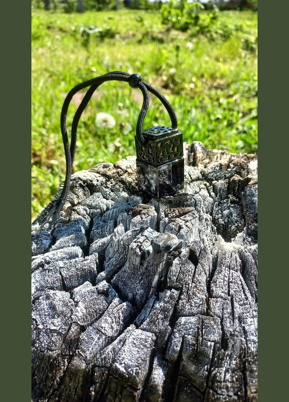 Ароматизатор подвесной, автопарфюм Watermelon Lemonade, Арбузный лимонад No Brand (346494137)