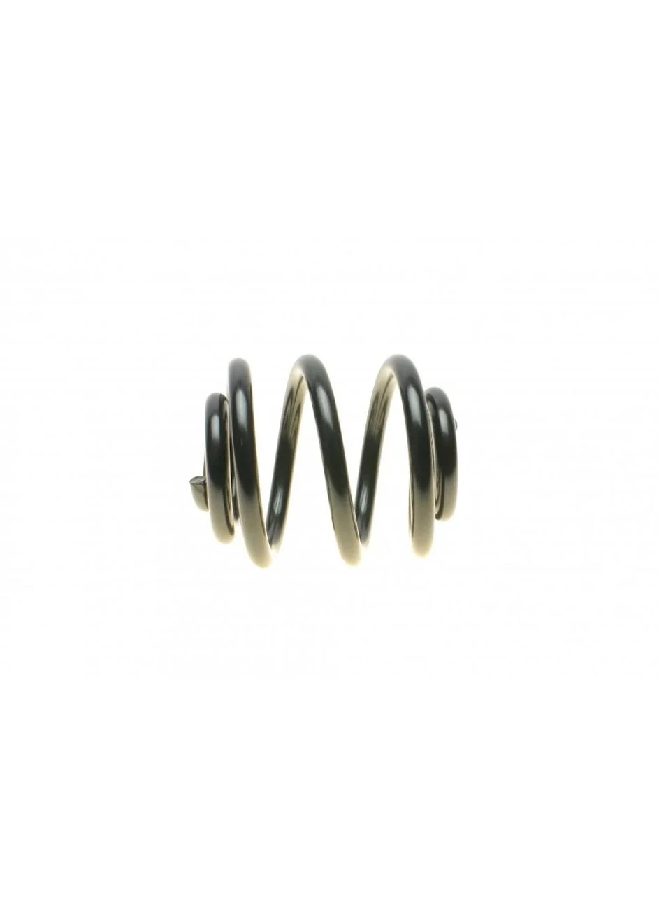 Пружины подвески ПРУЖИНА ЗАДНЯЯ AUDI/VW TT QUATTRO 98-/ A3 QUATTRO 96-/GOLF 4-MOTION 97- 4204249 Lesjofors (366176360)