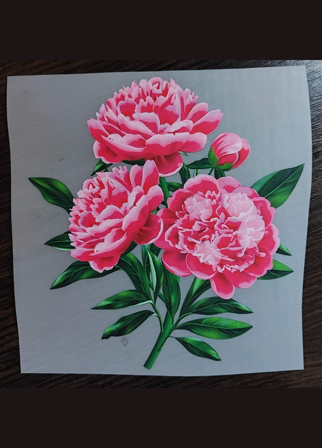 Термонаклейка на одяг "Піони" Кураж (316094661)