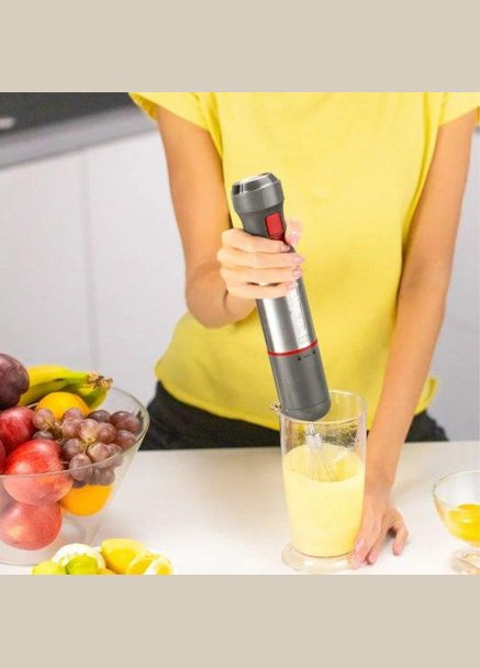 Блендер ZHB4652 Zelmer (332966842)