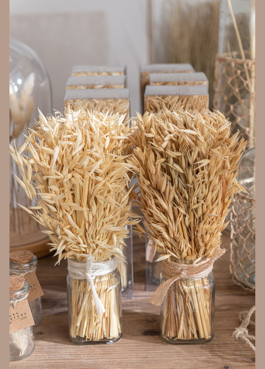 Сухоцветы трава овес в букете бежевого цвета высота 30 см. Бельгия (33003) J-Line (303354212)