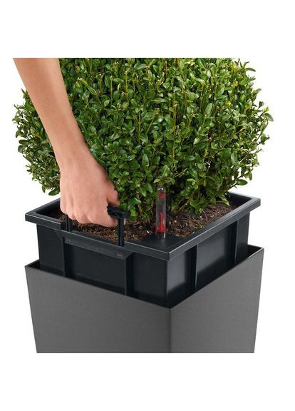 Розумний вазон Cubico Premium 30 14 л чорний 18186 Lechuza (316621986)