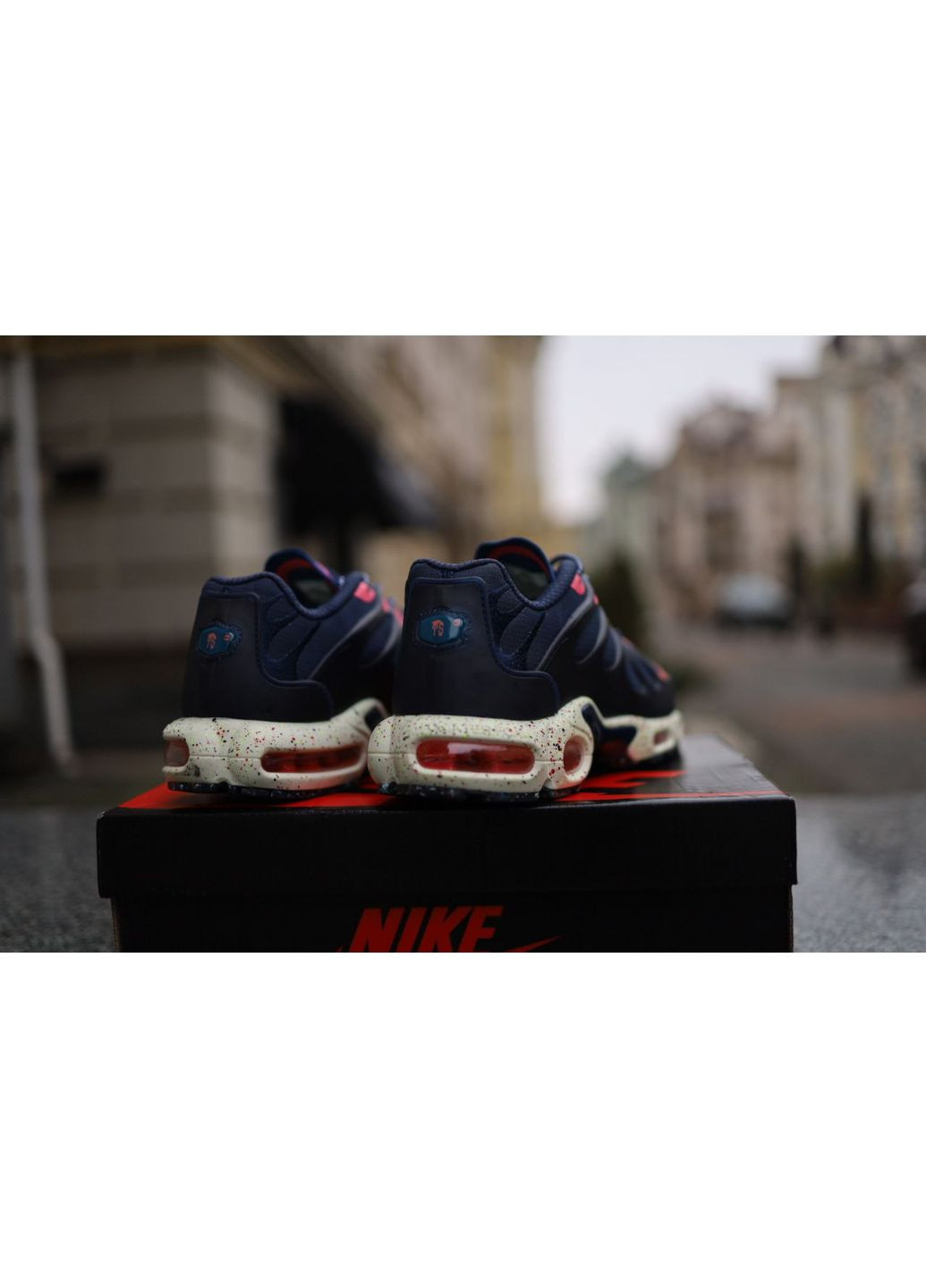 КРОСІВКИ ЖІНОЧІ NIKE AIR MAX TN TERRASCAPE PLUS НАЙК АІР МАКС ТН ПЛЮС No Brand комбіновані демісезони (369389288)