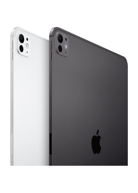 Планшет iPad Pro 13" (8 Gen) Wi-Fi + Cellular 256GB со стандартным glass Silver (ME7X4TY/A) Apple (366828693)