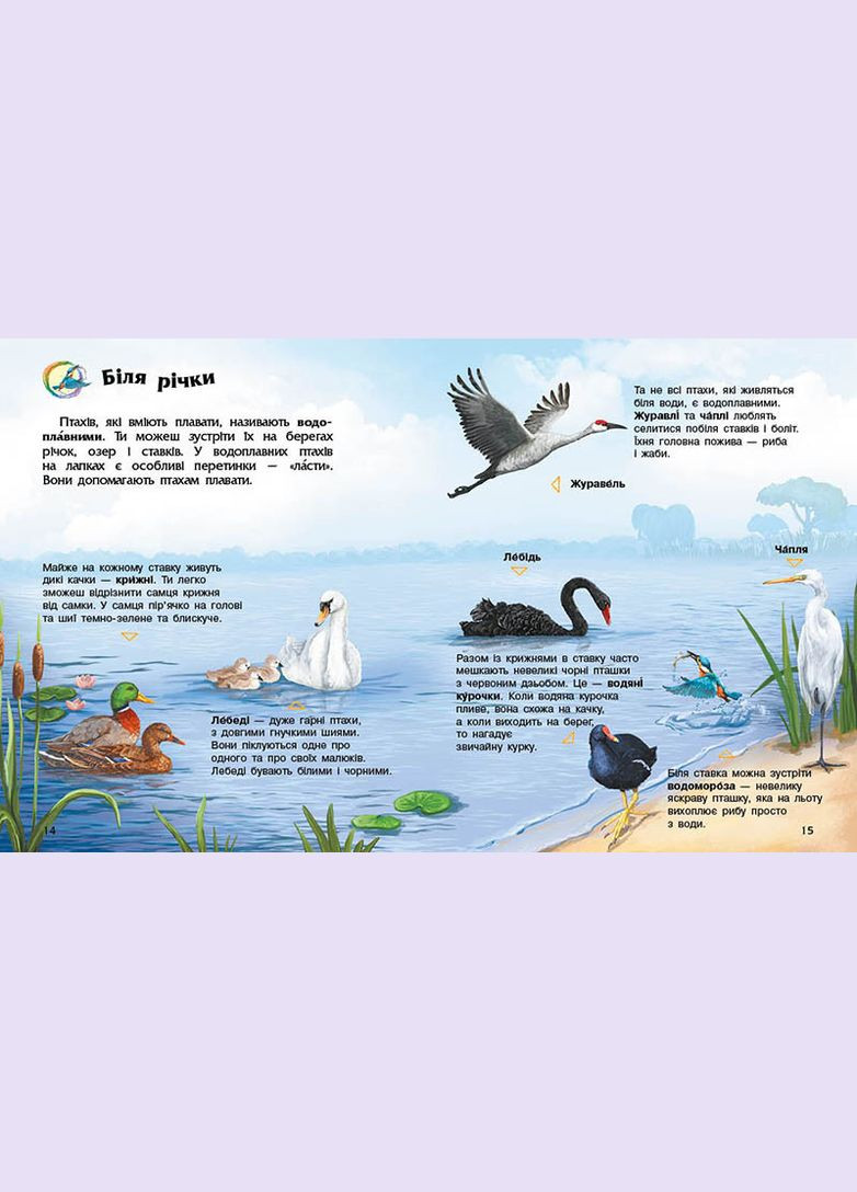 Енциклопедія дошкільника. Птахи РАНОК (322301963)