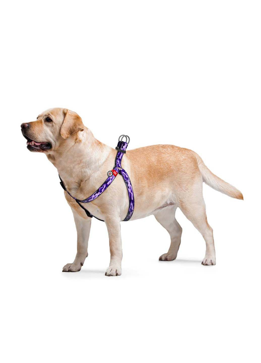 Шлея для собак анатомическая Nylon камо пластиковый фастекс Ш 20 мм Дл 50-80 см WAUDOG (292175307)