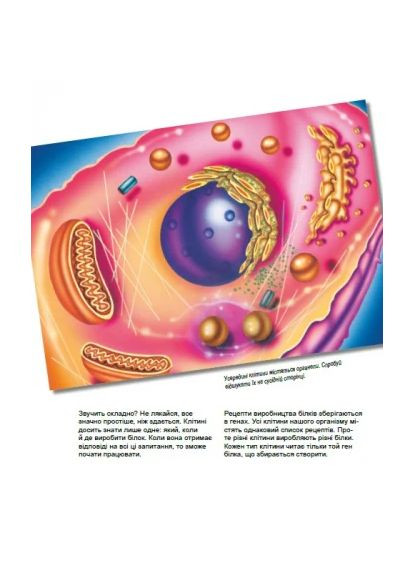 Дивовижний світ клітин РАНОК (370066553)