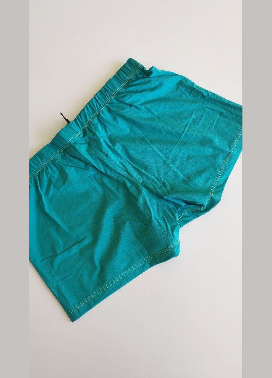 Чоловічі шорти для плавання купальні плавки Honey Fashion Accessories (6-28) No Brand (313286143)