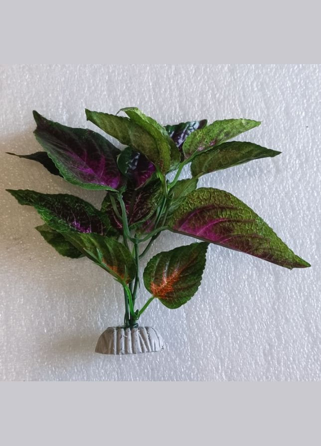 Растение пластиковое водоросли WONDER SER.B2 искусственное, Декорация для аквариума 1518см A8011045 Croci (292569164)
