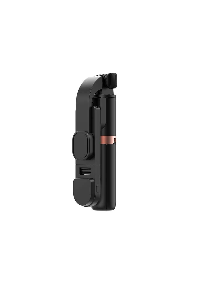 Селфи-штатив Mini Selfie Stick (с заполняющим светом) (6976975613184) WIWU Wi-SE011 (376043597)