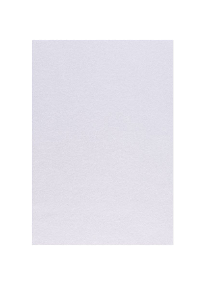 Набір фетру жорсткого 741402 21х30 см 10 аркушів білий Santi (364756523)