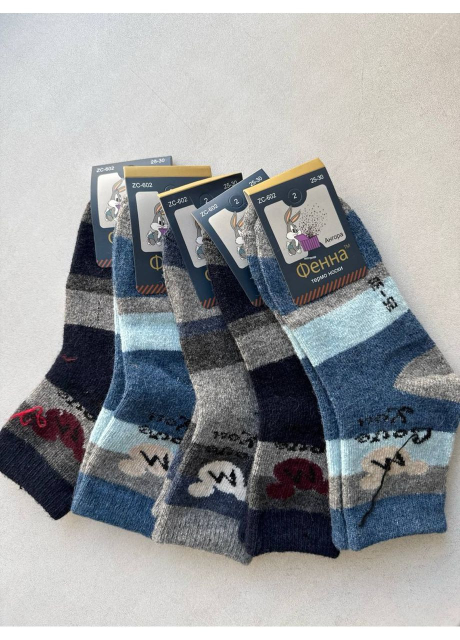 Шкарпетки дитячі 5 пар "Фенна" для хлопчика р.25-30 ТЕРМО зимові ФЕННА (361148062)