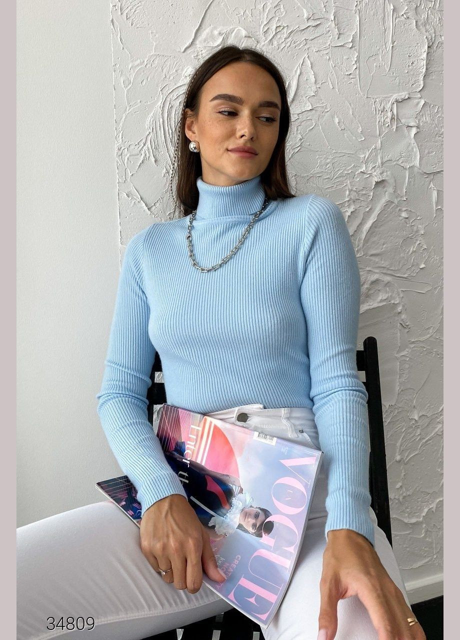 Водолазка в рубчик с воротом с отворотом Liton (303727727)