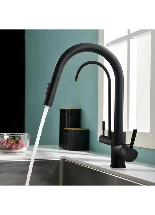 Змішувач для кухні ECO FRESH BLACK на дві води на дві води Rea (376155673)