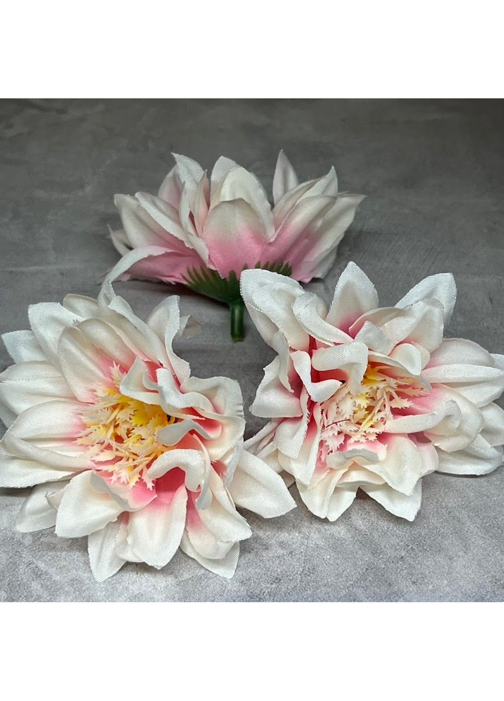 Бутон (головка цветка) Георгина 7 см, цвет -бело-розовый, арт 017975, поштучно No Brand (324272199)