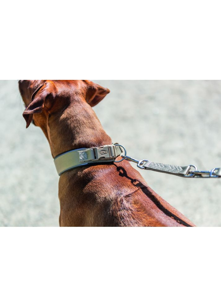 Ошейник Premium для собак экстраширокий M–L 40–48 см 40 мм песочно-серый Trixie (372505058)